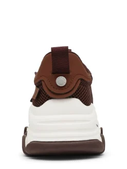 Baskets Steve Madden Possession marron