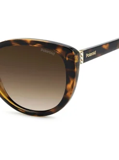 Lunettes de soleil Polaroid marron œil de chat