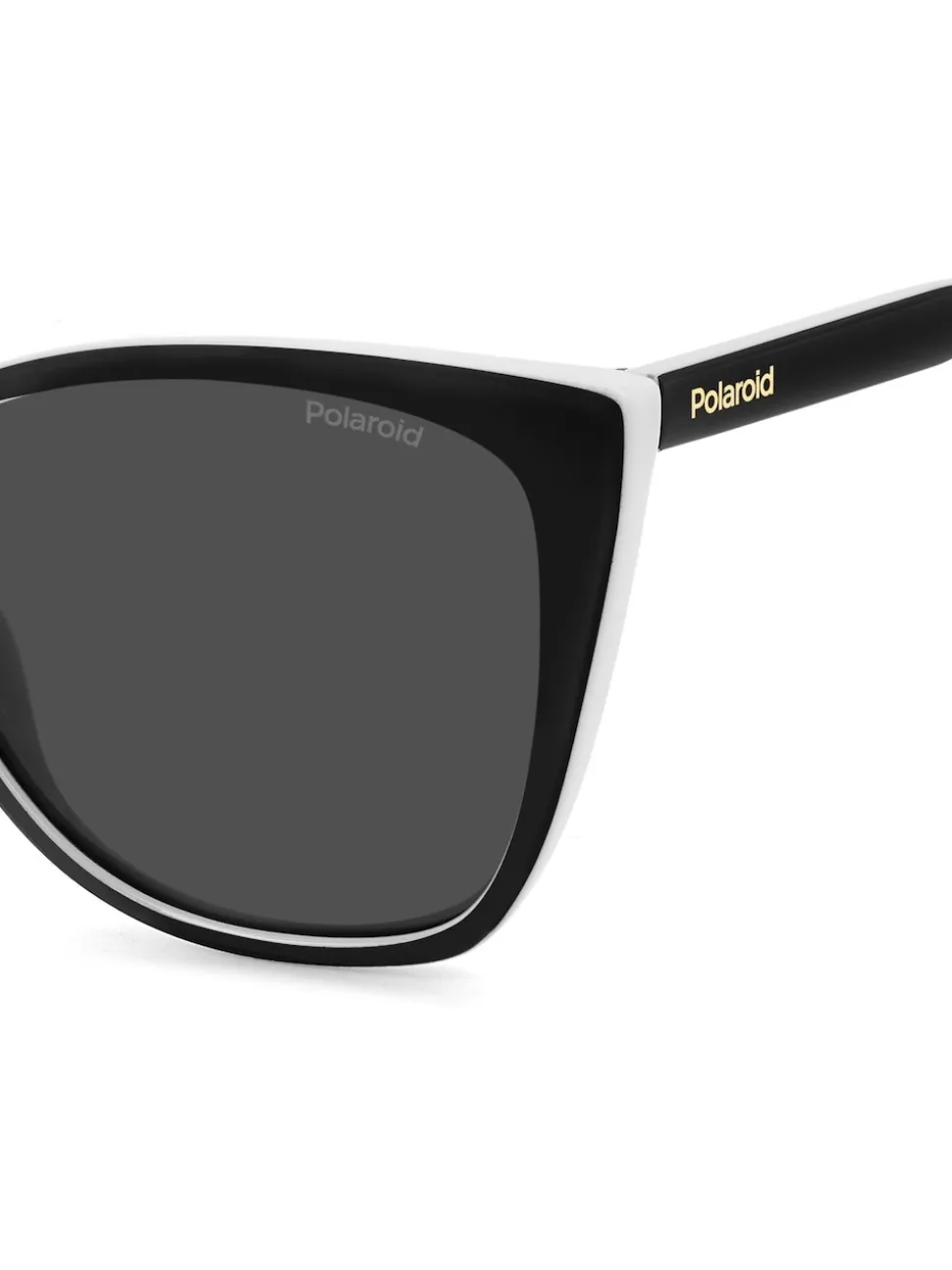 Polaroid Rectangulaire Noir Lunettes de soleil