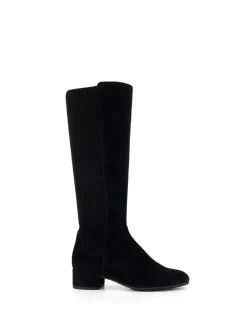 Suede noire - Dune London Bottes hautes élégantes et stretch Tayla