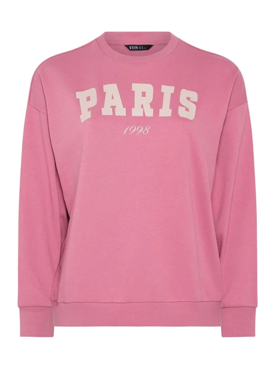 Sweat-shirt Yours Curve Paris