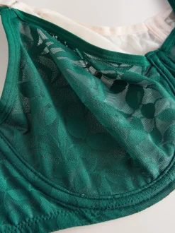 Vert/Ecru - Lot de 2 soutiens-gorge DD-G en dentelle non rembourrés à bonnets complets